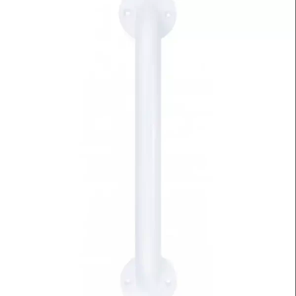 McKesson Wall Grab Bar