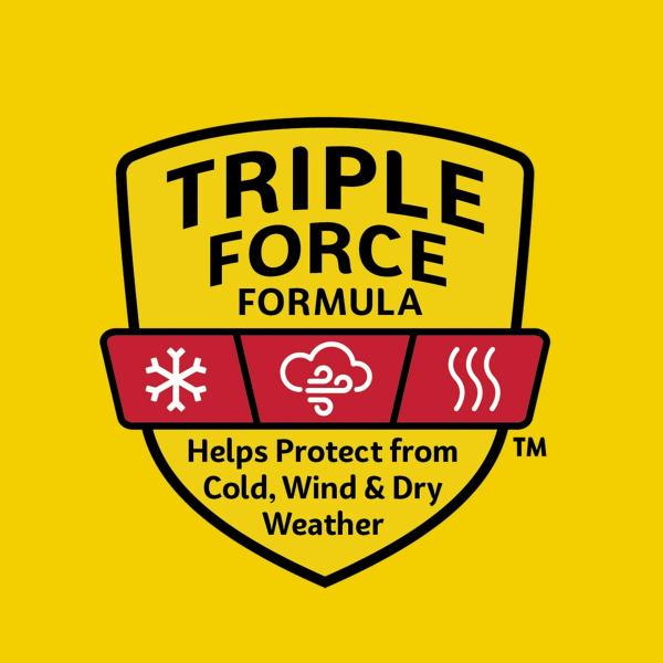 Carmex Classic Medicated Lip Balm Tube