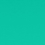 Sonic Toothbrush ISSA™ baby Kiwi Green Panda Ages Birth to 4 Years Silicone