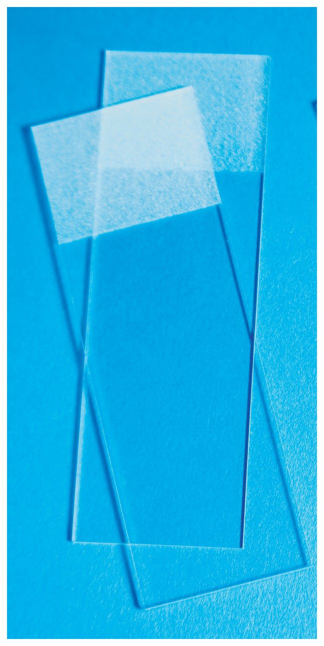 Charged Microscope Slide Fisherbrand™ Superfrost® Plus 25 X 75 X 1 mm White Frosted End