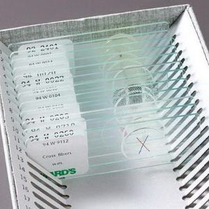 Prepared Microscope Slide Set 1 X 3 Inch Plain